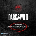 BTS – Vol. 1 DARK&WILD-38506