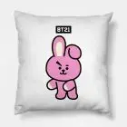 Pillow BT21 - Collection #22