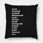 EXO Pillow - OT12 Members