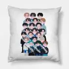 NCT  Pillow - Universe - Collection