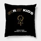 Stray Kids Pillow - District 9 Unlock