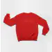 Nct Oversized Sweatshirt — Limited Ver.