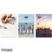 البوم اصلي Seventeen Vol4 Al1 النسخة العشوائية