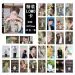 مجموعة فوتوكارد BTS — إصدار "BTS" • اختيار رائع للهدايا — BTS Random Pack