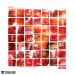 Official Album ENOi Mini Album Vol1 RED IN THE APPLE