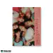 Official Album DreamNote Single Album Vol3 Dreamwish