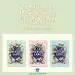 Official WJSN Cosmic Girls Neverland النسخة العشوائية
