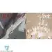 Official Album Weki Meki Mini Album Vol3 HIDE and SEEK النسخة الكاملة