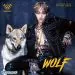 البوم اصلي Kim Woo Sung Mini Album Vol1 WOLF