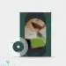 البوم اصلي ONEWE Single Album Vol1 MEMORY illusion