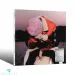 البوم اصلي MC Mong MC Mong9th Album FLOWER 9