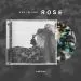 البوم اصلي Ash Island 3rd Album ROSE