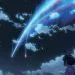 your name O.S.T 2LP Reissue