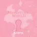 ألبوم BLACKPINK THE GAME Photocard Collection — Miniature World