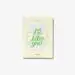 البوم اصلي ILLIT 2nd ILL LIKE YOU Weverse Albums Ver