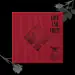 البوم اصلي RAVI Album Vol2 LOVE FIGHT