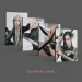 البوم اصلي النسخة العشوائية BLACKPINK 2nd BORN PINK DIGIPACK ver