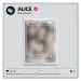 البوم اصلي ALICE 2nd Single Album SHOW DOWN