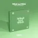 البوم اصلي BTOB 12th Mini Album WIND AND WISH WIND Ver