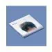 البوم اصلي HWI YOUNG Single Album Traveling Fish CD