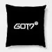 Got7 K pop Pillow — Silver Limited Ver.