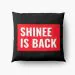 وسادة بلَش Shinee — إصدار "Signature" — Shinee Limited Edition
