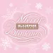 البوم اصلي BLACKPINK THE GAME COUPON CARD COLLECTION 2024 BLACKPINK CHRISTMAS