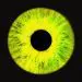 البوم اصلي NOEL 4th EP Album 23FW
