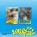 Official Album BDU 1st Mini Album Wishpool 2CD Full Set