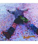 البوم اصلي GRAY Album grayground