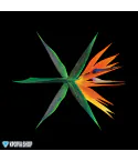Official Album EXO Album THE WAR النسخة الصينية
