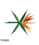 البوم اصلي EXO Album THE WAR النسخة الكورية