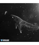 EXO Winter Album
