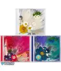 البوم اصلي النسخة العشوائية TAEYANG 3RD WHITE NIGHT CD34241