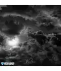 البوم اصلي BIGBANG TAEYANG RISE BEST COLLECTION VINYL LP LIMITED