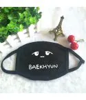 BAEKHYUN Face Mask – Washable Breathable