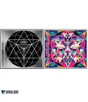 Official Album 2NE1 New Album CRUSH النسخة العشوائية