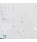 البوم اصلي CNBLUE Mini Album Vol6 BLUEMING B Ver