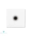البوم اصلي Woo Won Jae Album BLACK OUT