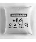 وسادة ديكور Big Bang — إصدار "مخدة BigBang" — Big Bang Limited Edition