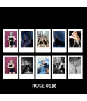 مجموعة فوتوكارد Black Pink — إصدار "ROSE" • جاهز للعرض — Black Pink Random Pack