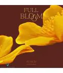 البوم اصلي Punch Mini Album Vol2 BLOOM