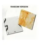 ألبوم V8 SEVENTEEN 1st Mini Album V8 النسخة العشوائية CD