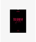 Official Product SEVENTEEN 2023 WALL CALENDAR