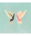 البوم اصلي EPIK HIGH Album Vol10 Epik High Is Here