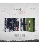 البوم اصلي Jin Ah Lee 3rd Inner Heart of the City