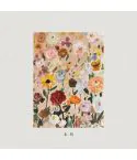 البوم اصلي SIHWANG 1st Album 도화