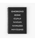 دفتر Apink — إصدار "Members Names" — Apink Limited Edition