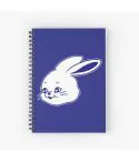 دفتر ملاحظات Newjeans — إصدار "Bunnies" — Newjeans Limited Edition