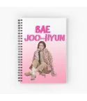 Red Velvet Journal Bae Joohyun — Silver Casual Ver.
